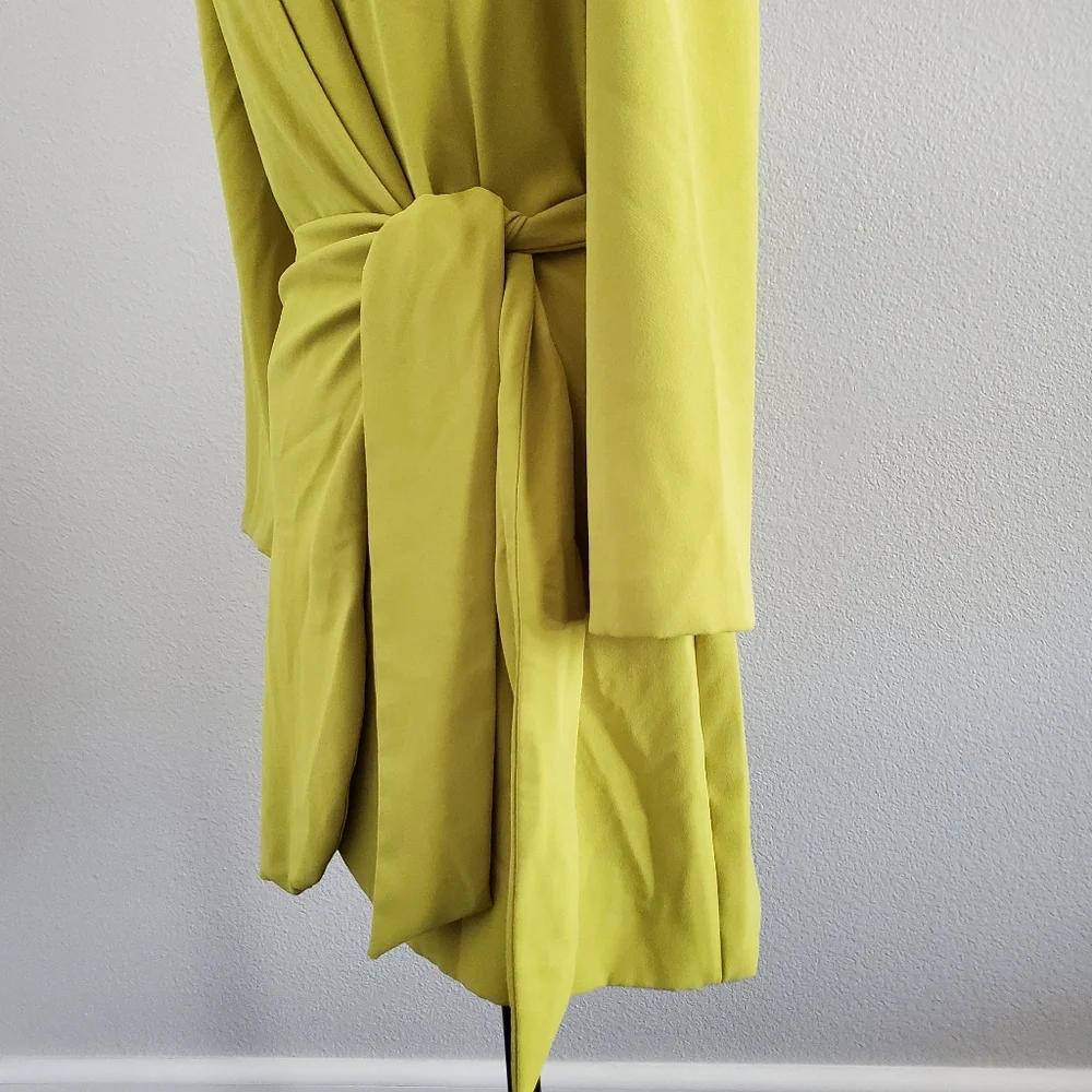 ZARA Dress - Picture 8 of 12